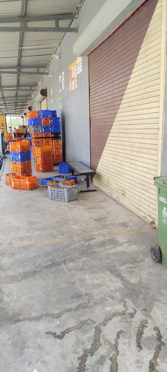 WhatsApp Image 2026-01-31 at 3.20.25 PM (1).jpeg