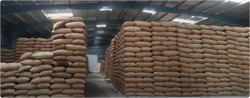 4,500 sq.ft Warehouse Available in Prayagraj, Uttar Pradesh