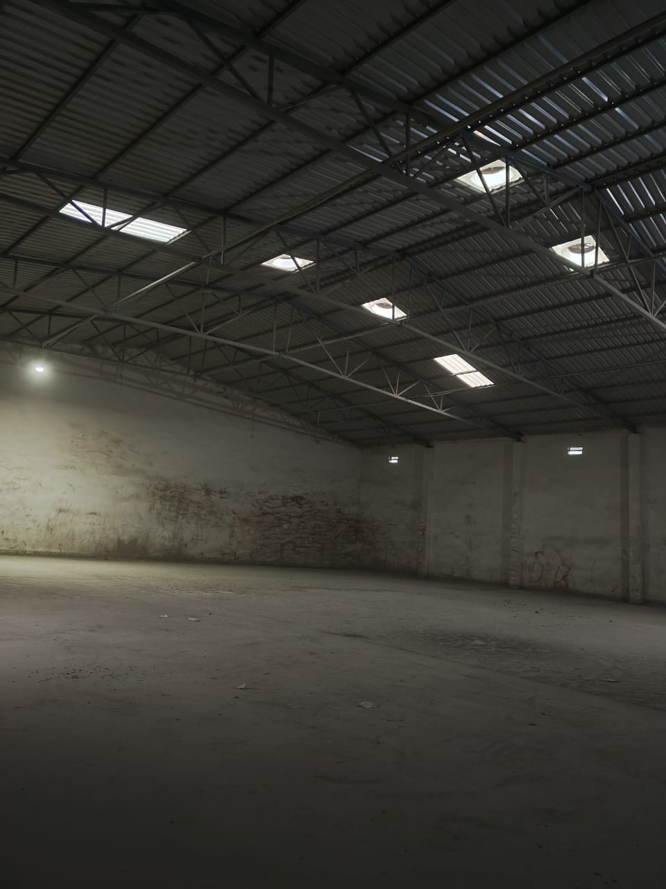 WhatsApp Image 2026-01-31 at 2.59.09 PM.jpeg