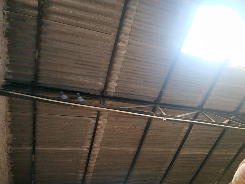 15,000 sq.ft Warehouse Available in North West Delhi, Delhi