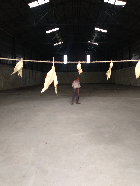 11,800 sq.ft Warehouse Available in Kanpur, Uttar Pradesh