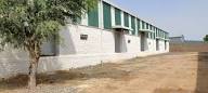 1,13,295 sq.ft Warehouse Available in Nanded, Maharashtra