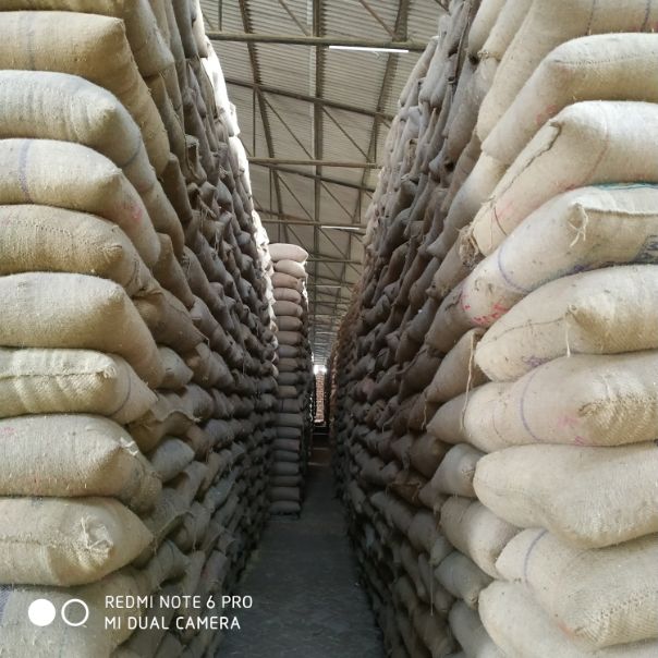 25,000 sq.ft Warehouse Available in Moga, Punjab