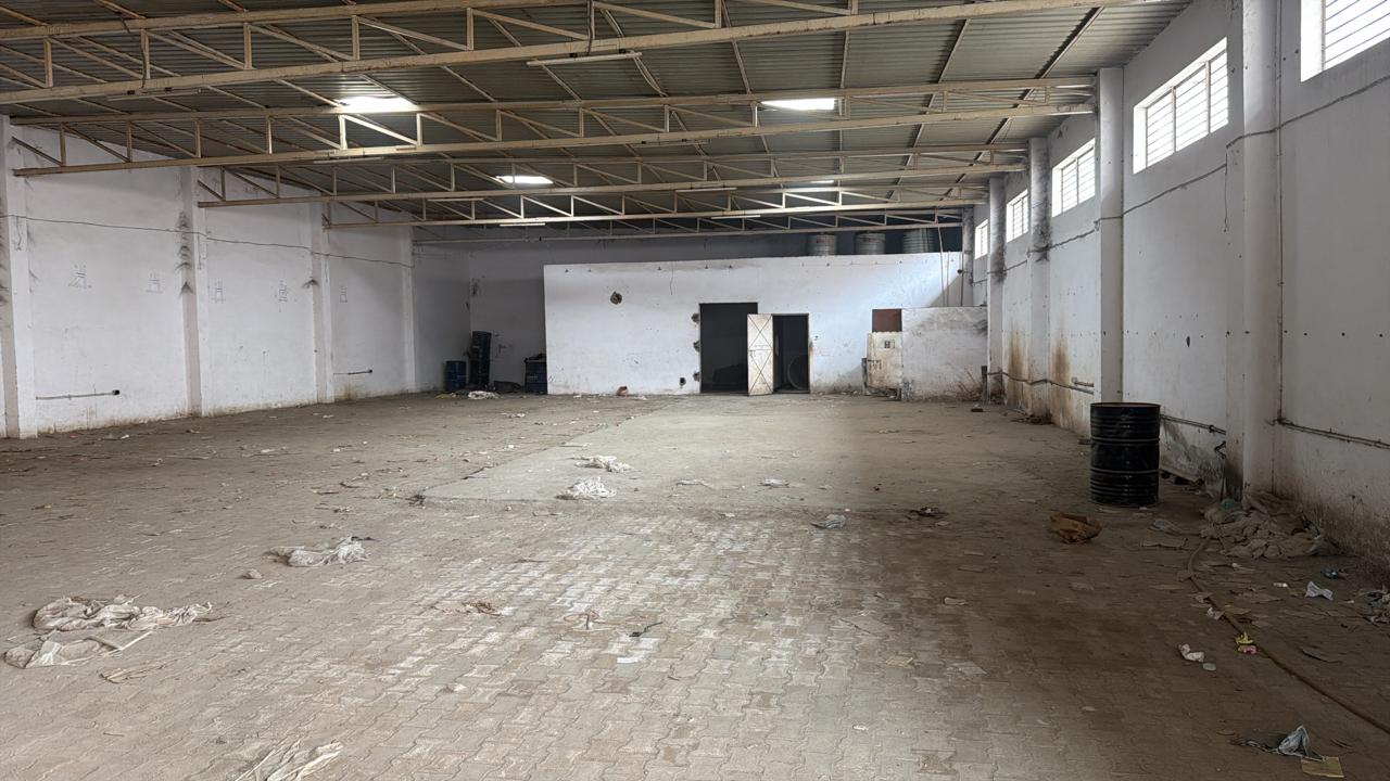 WhatsApp Image 2026-02-02 at 2.11.11 PM.jpeg