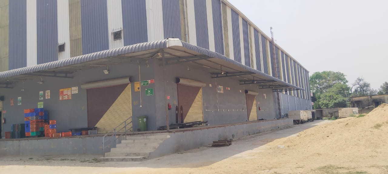 WhatsApp Image 2026-01-31 at 3.20.25 PM.jpeg