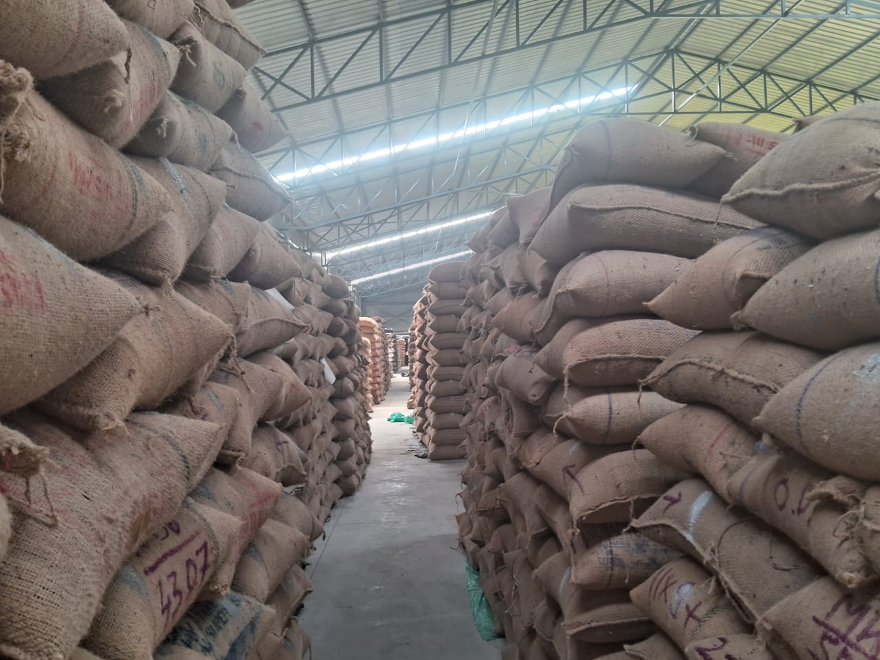 WhatsApp Image 2025-11-20 at 1.25.11 PM (1).jpeg