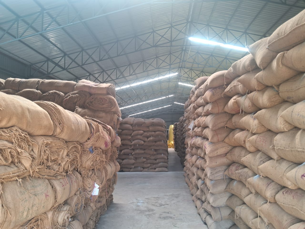 WhatsApp Image 2025-11-20 at 1.24.51 PM (1).jpeg