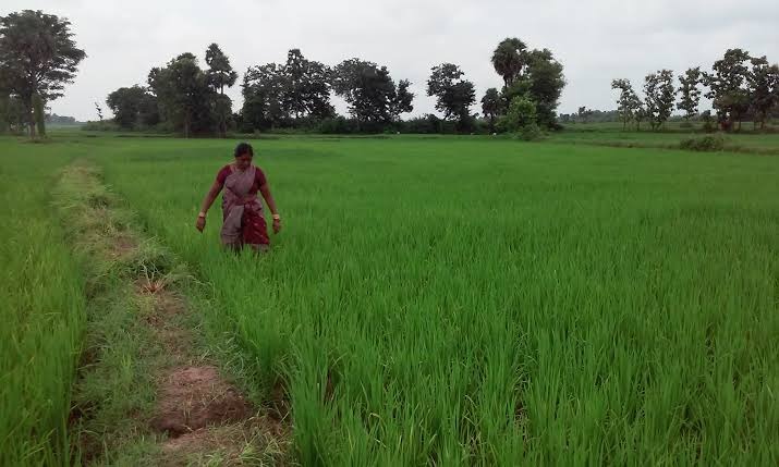 16,000 sq.ft Warehouse Available in Lucknow, Uttar Pradesh