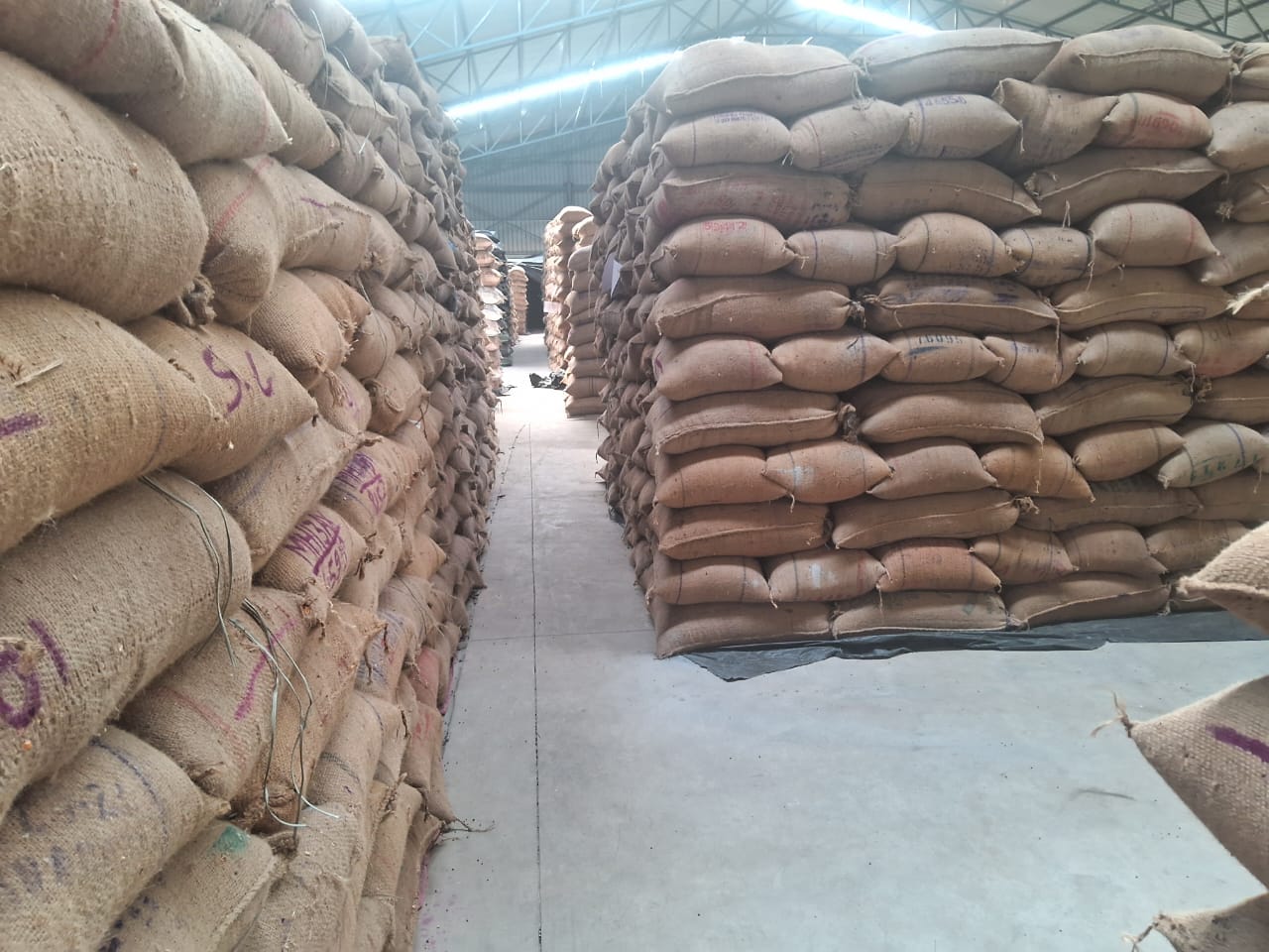 WhatsApp Image 2025-11-20 at 1.25.39 PM.jpeg