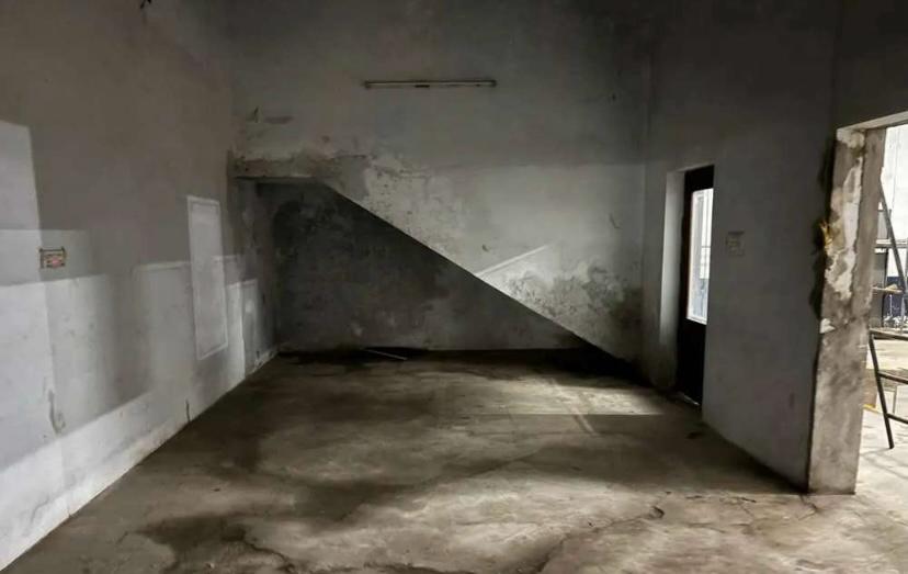 WhatsApp Image 2025-10-15 at 2.32.55 PM (5).jpeg