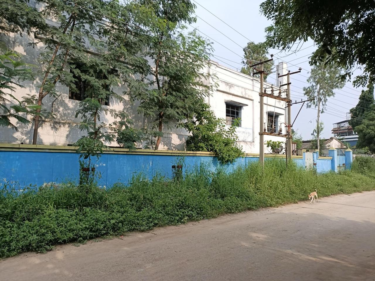 WhatsApp Image 2026-01-22 at 11.57.10 AM (1).jpeg