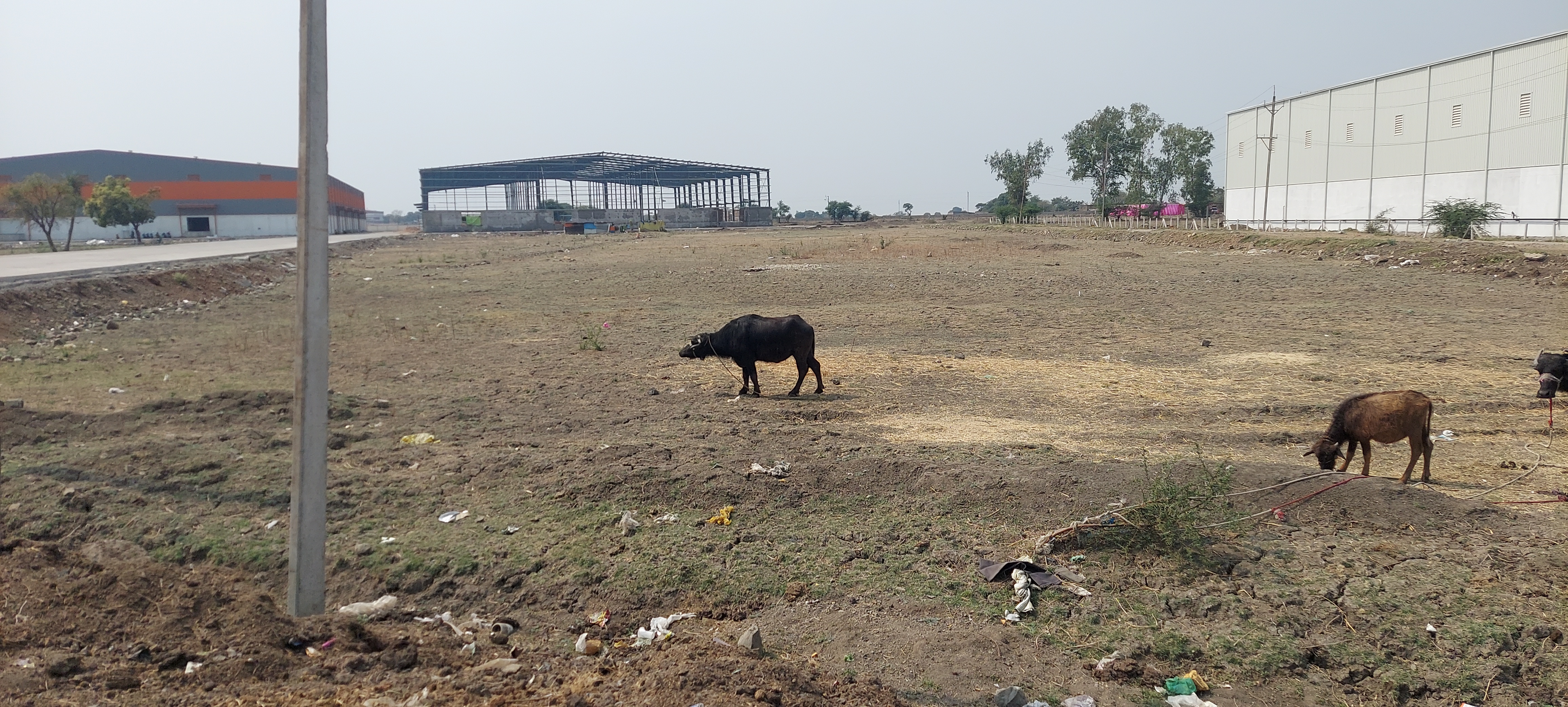 1,50,000 sq.ft Warehouse Available in Indore, Madhya Pradesh