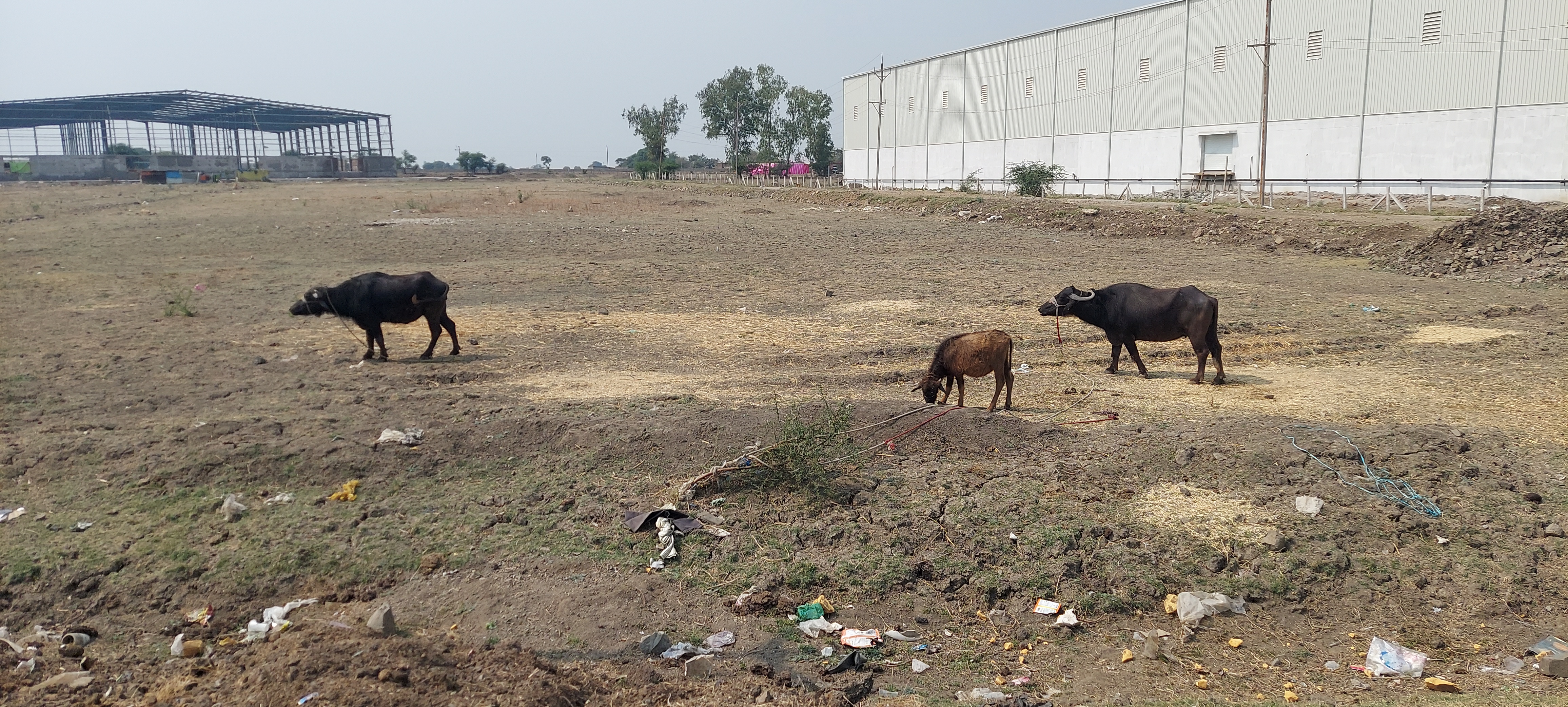 1,50,000 sq.ft Warehouse Available in Indore, Madhya Pradesh