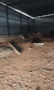 7,000 sq.ft Warehouse Available in Greater Noida, Uttar Pradesh