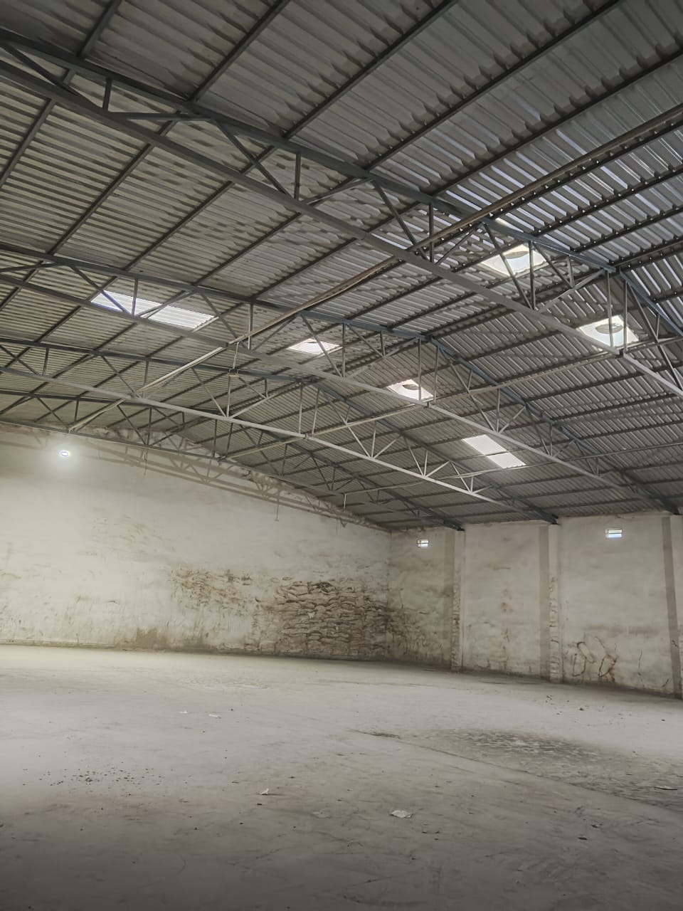 WhatsApp Image 2026-01-31 at 2.59.07 PM.jpeg