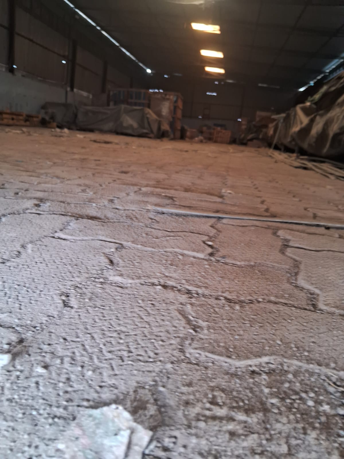 WhatsApp Image 2026-01-29 at 2.14.22 PM.jpeg