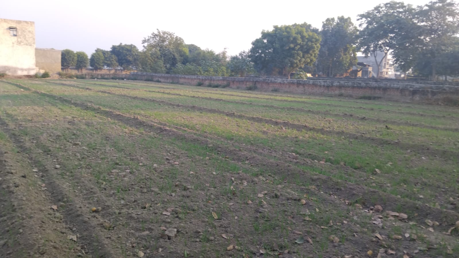 50,000 sq.ft Warehouse Available in Greater Noida, Uttar Pradesh