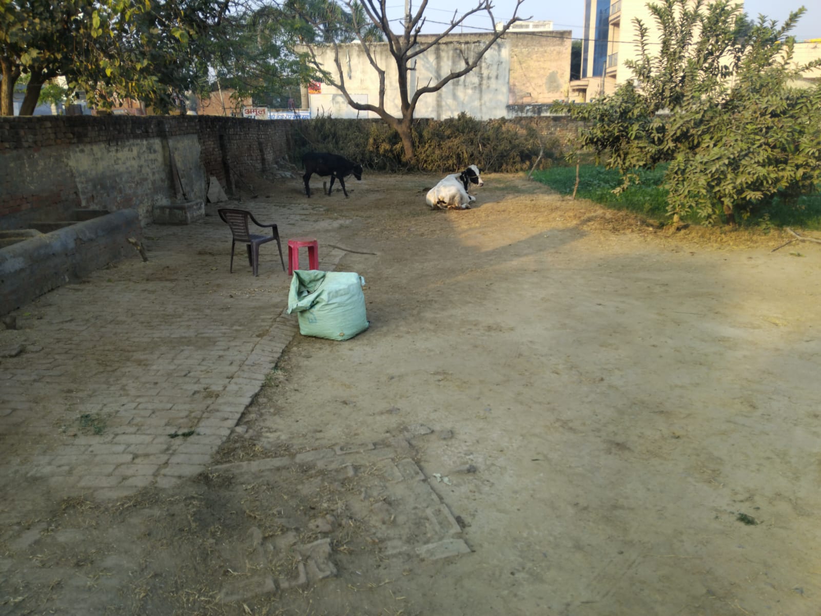 50,000 sq.ft Warehouse Available in Greater Noida, Uttar Pradesh