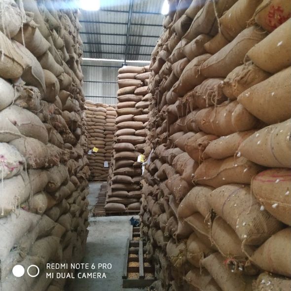 10,490 sq.ft Warehouse Available in Bhatinda, Punjab